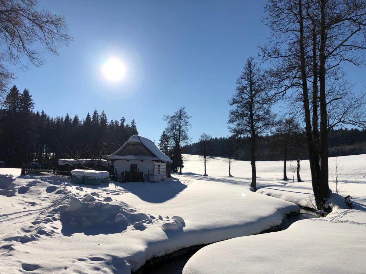 Hotel A Penzion Pegas Vlachovice Екстериор снимка