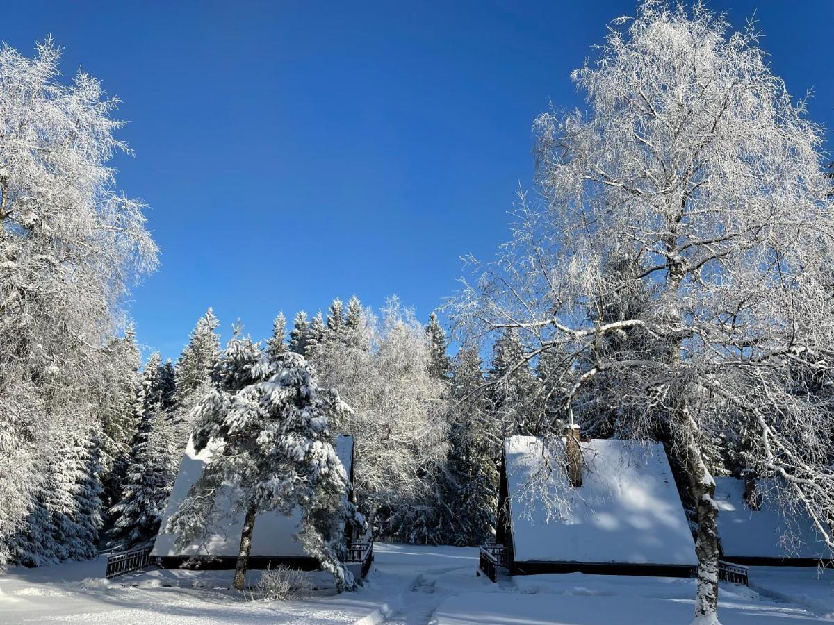 Hotel A Penzion Pegas Vlachovice Екстериор снимка